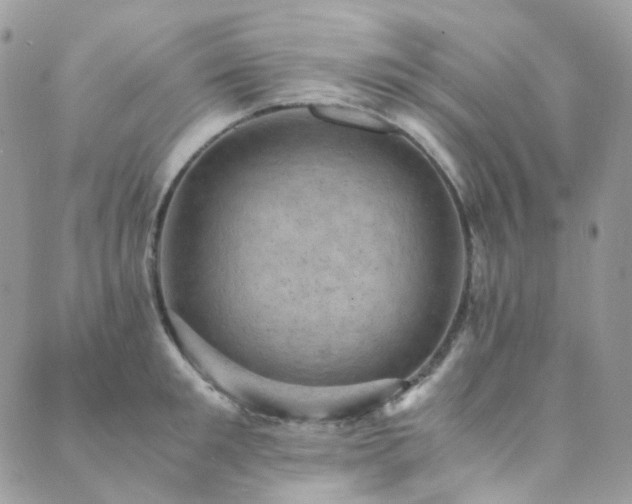 X0000089690901200706211247