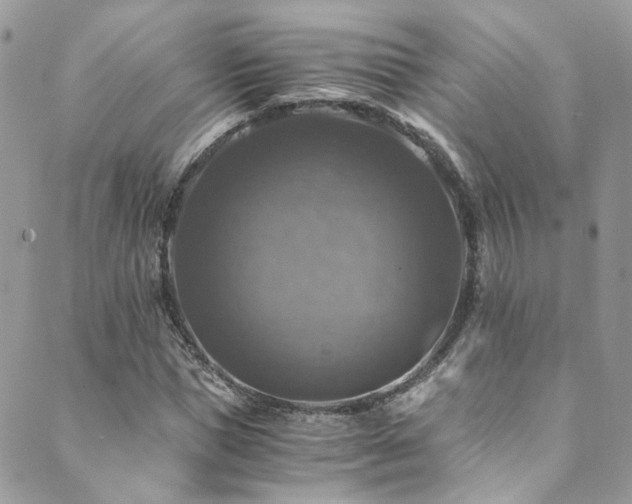 X0000089690921200706211246