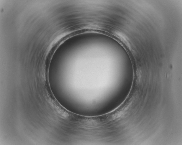 X0000089690931200706211246