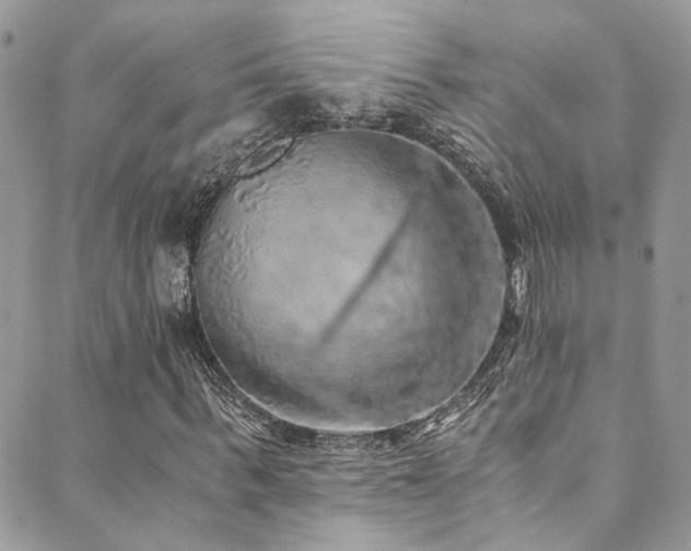 X0000089690963200706211246