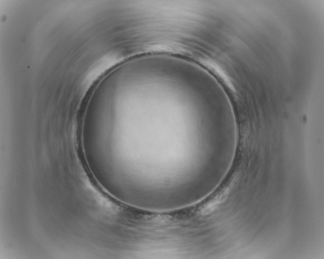 X0000089690991200706211246
