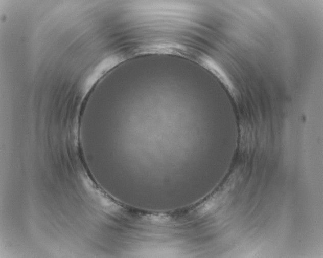 X0000089690994200706211246
