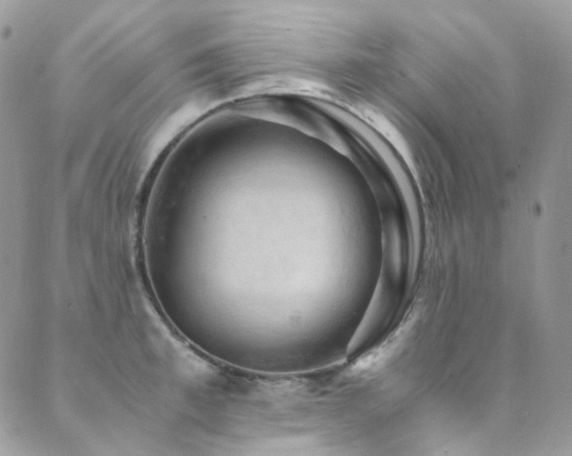 X0000089690997200706211246