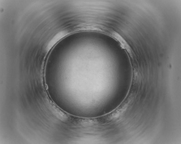 X0000089691002200706211245
