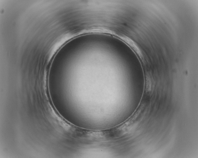 X0000089691006200706211245