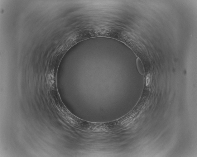 X0000089691011200706211245