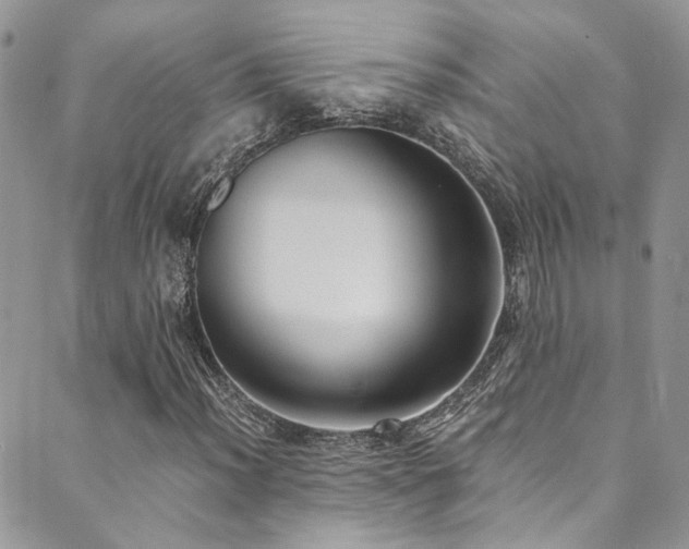 X0000089691012200706211245