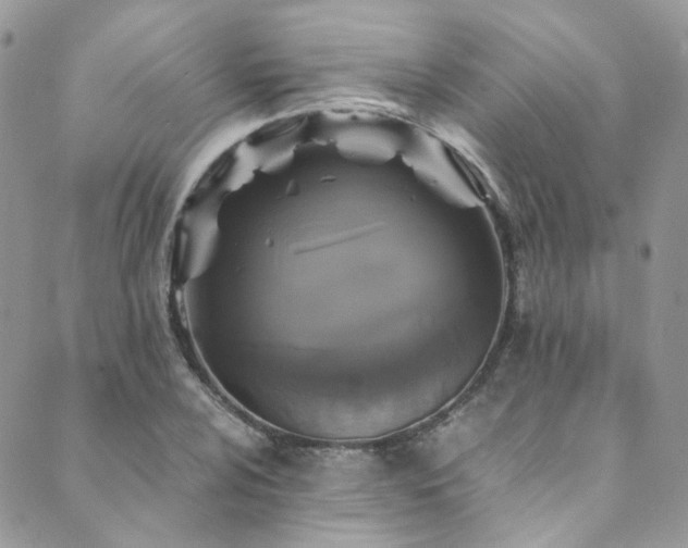 X0000089691024200706211245