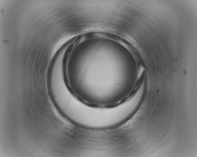 X0000089691030200706211245