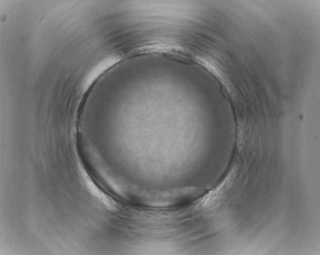 X0000089691042200706211245