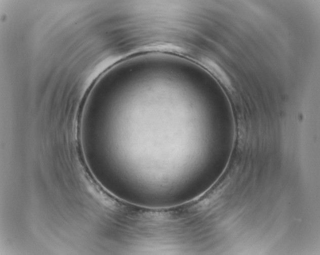 X0000089691044200706211245