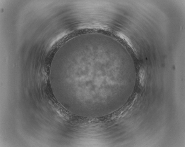 X0000089691064200706211244