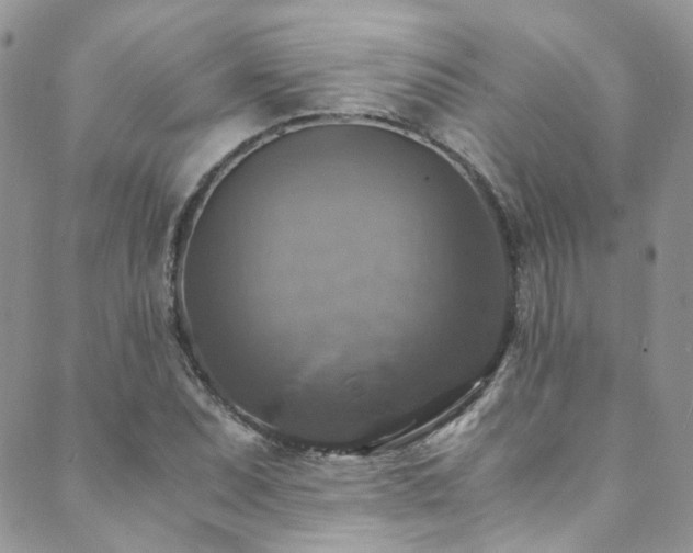 X0000089691071200706211244