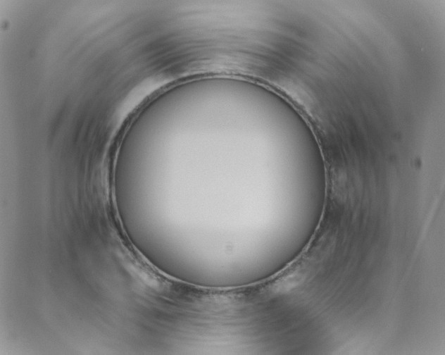X0000089691078200706211244