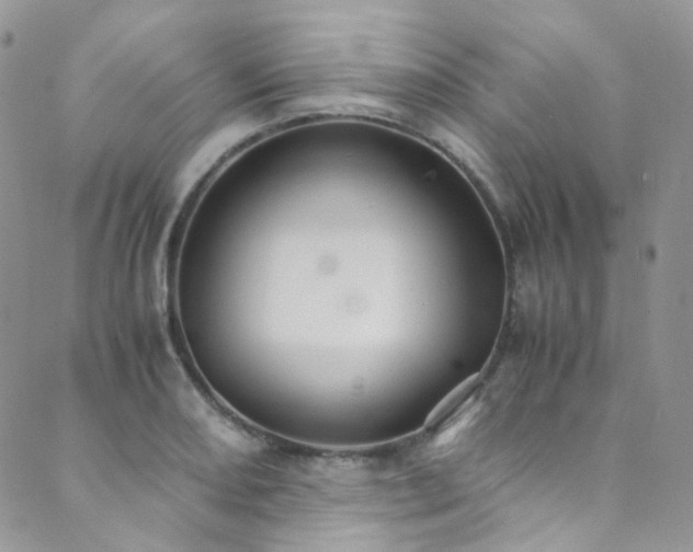 X0000089691082200706211244