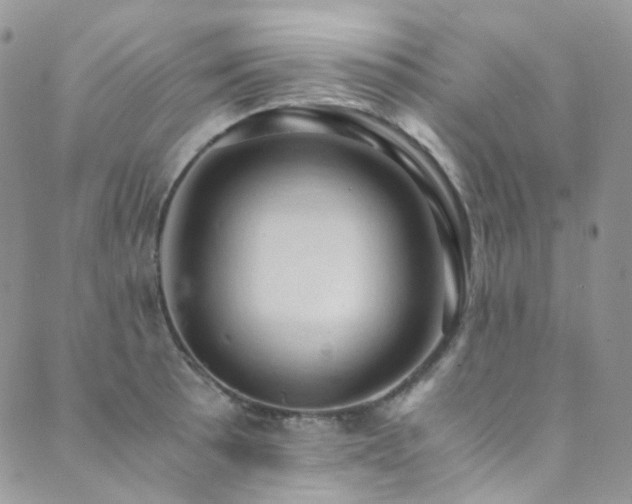 X0000089691089200706211244