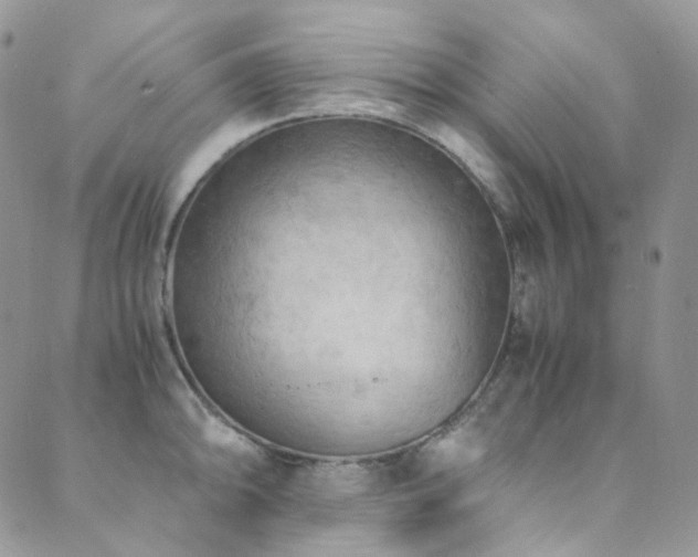 X0000089691094200706211244