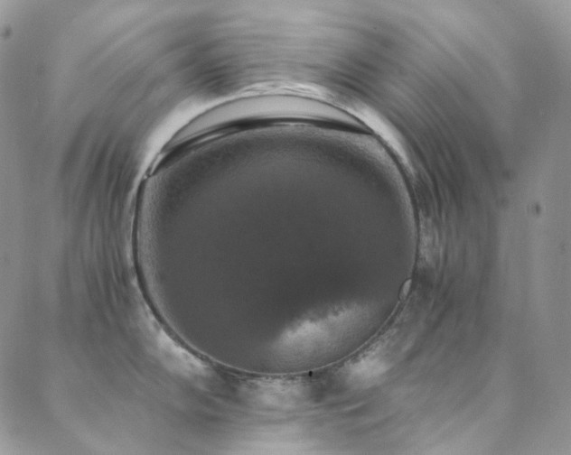 X0000089691102200706211244