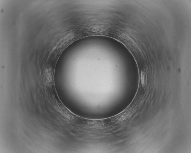 X0000089691107200706211243