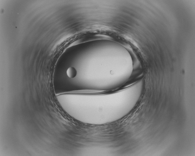 X0000089691112200706211243