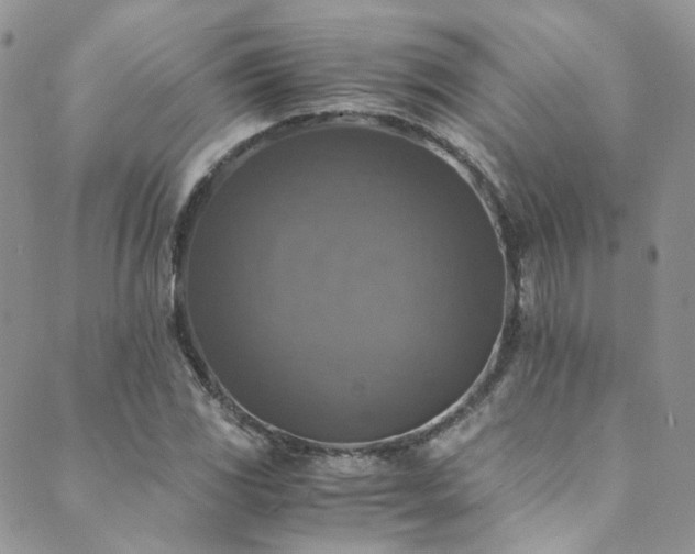 X0000089691117200706211243