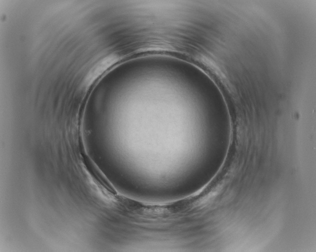 X0000089691129200706211243