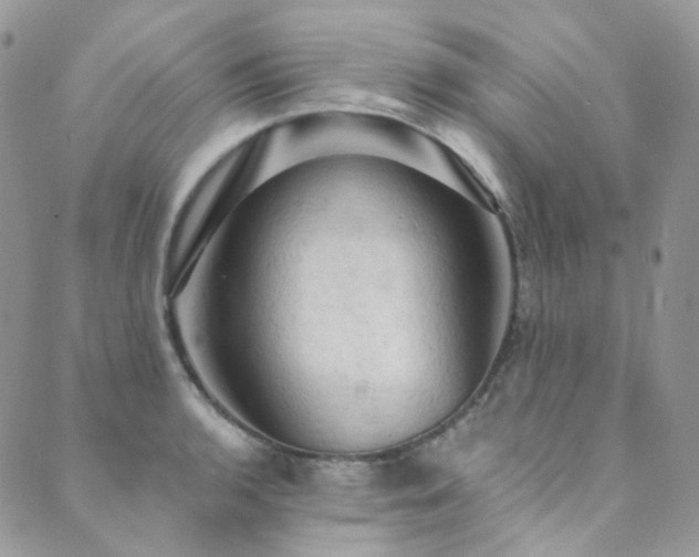 X0000089691136200706211244