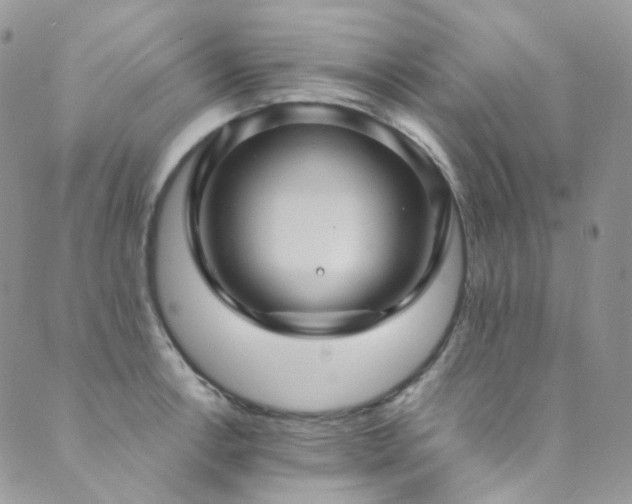 X0000089691138200706211244