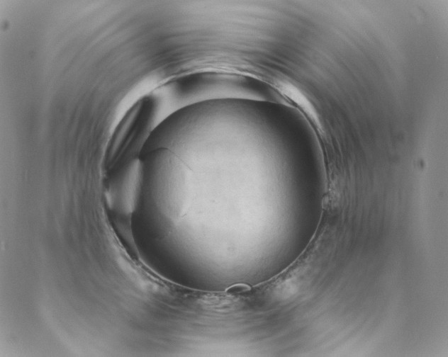X0000089691146200706211244