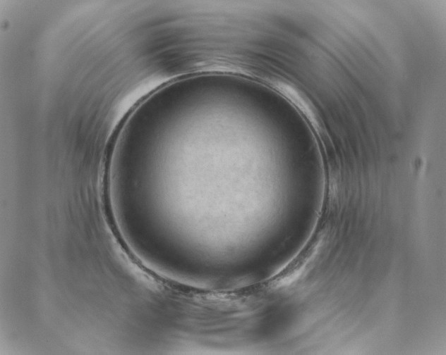 X0000089691149200706211244