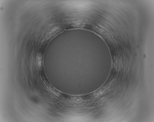 X0000089691154200706211243