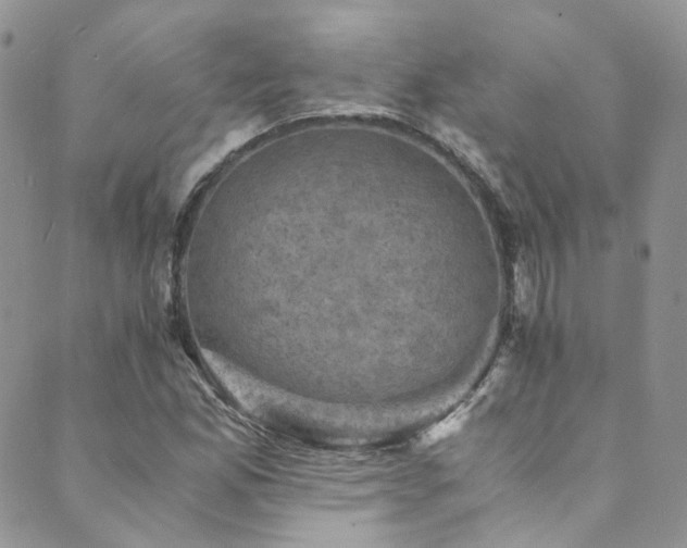X0000089691165200706211243