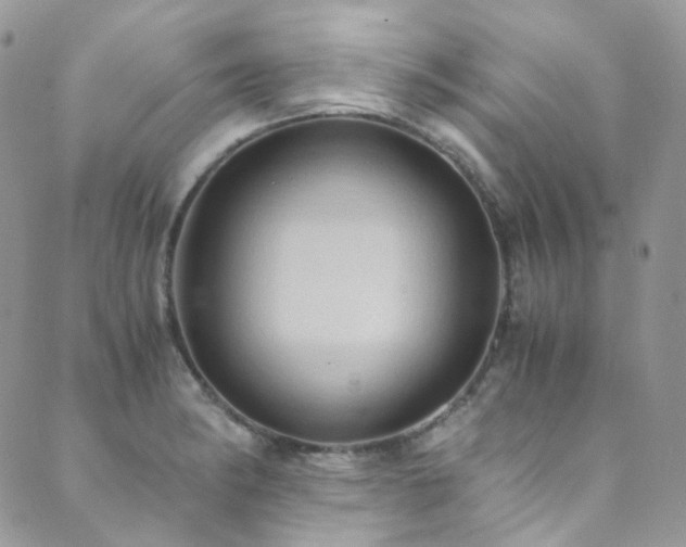 X0000089691182200706211242