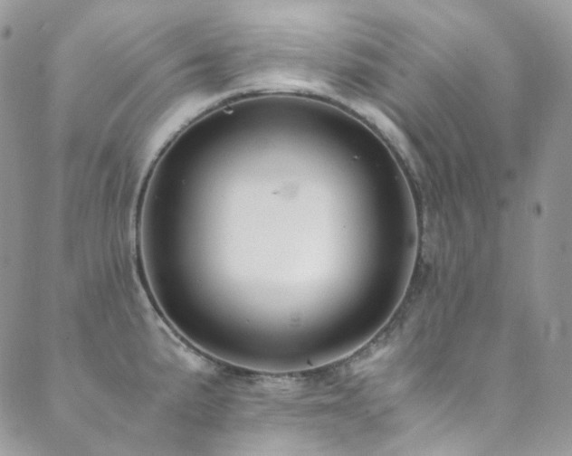 X0000089691191200706211242