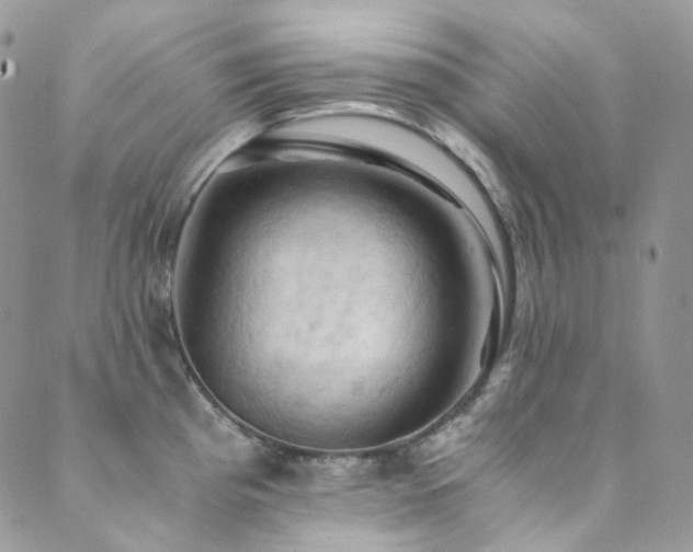 X0000089691193200706211242