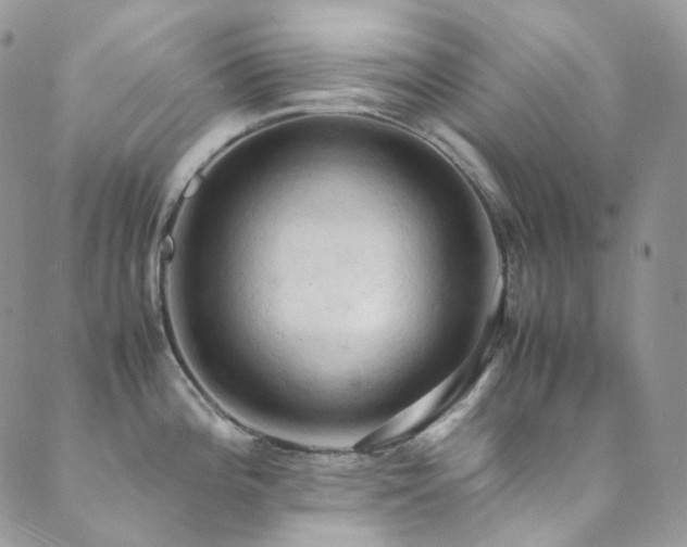 X0000089691196200706211242