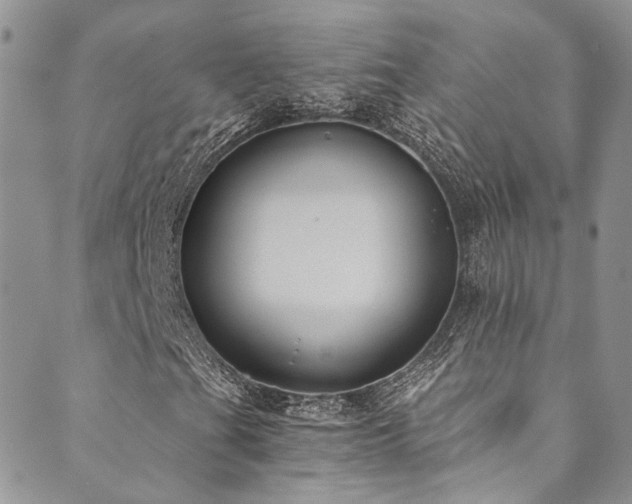 X0000089691201200706211241