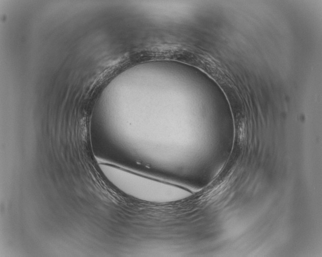 X0000089691204200706211241