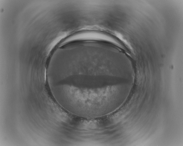 X0000089691221200706211242