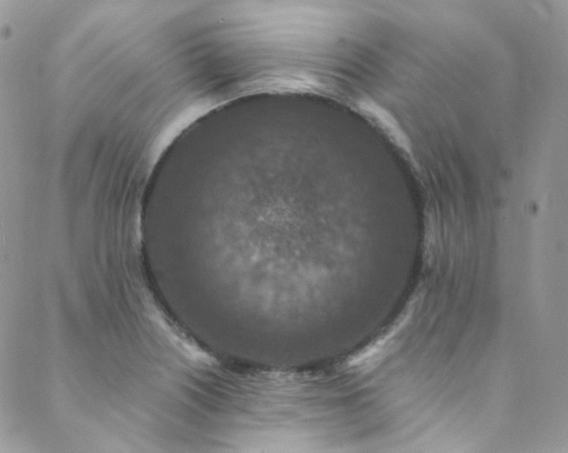 X0000089691226200706211242