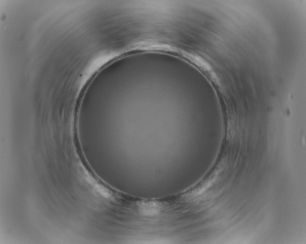 X0000089691231200706211242