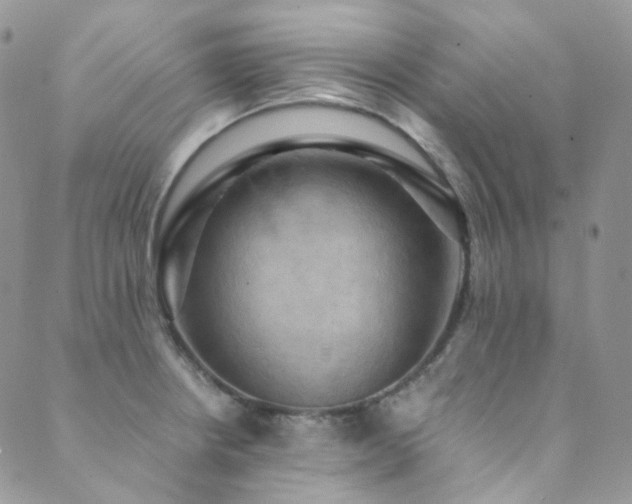 X0000089691234200706211242