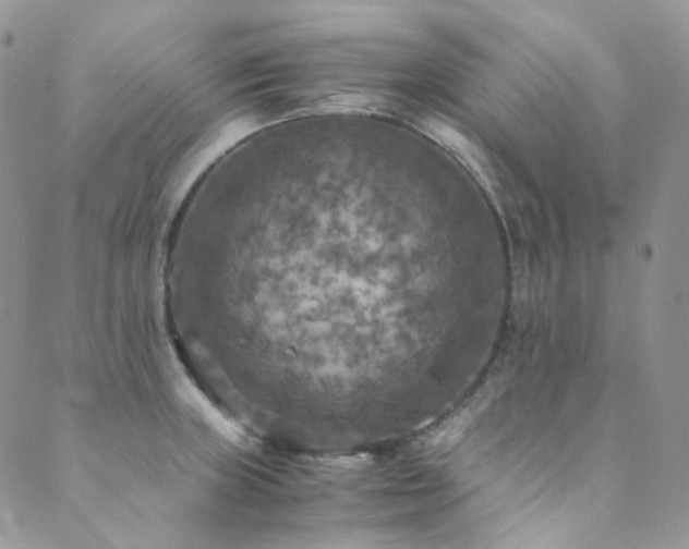 X0000089691235200706211242