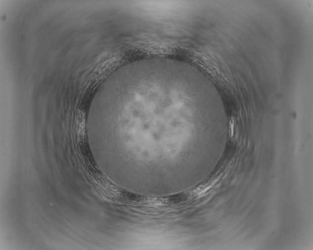 X0000089691251200706211241