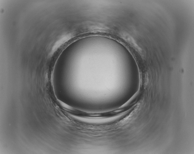X0000089691261200706211241
