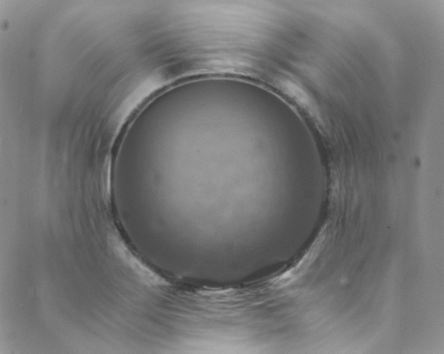 X0000089691275200706211241