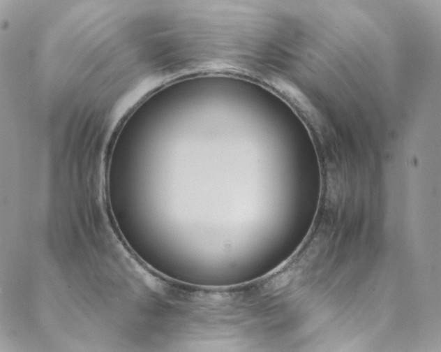 X0000089691286200706211241