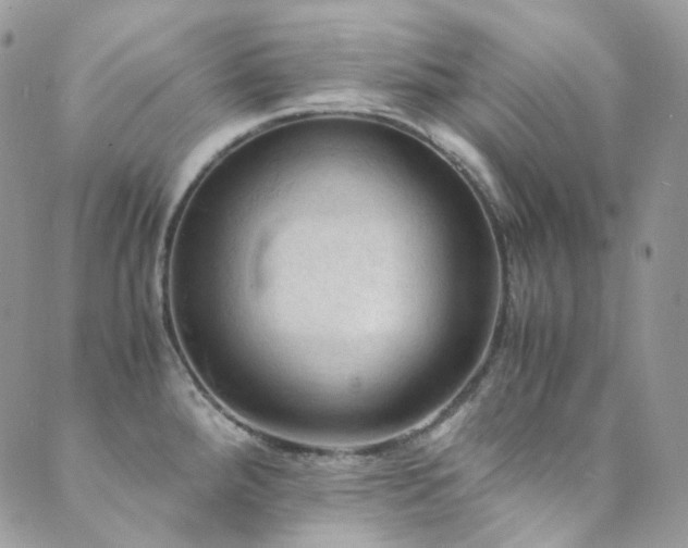 X0000089691288200706211241