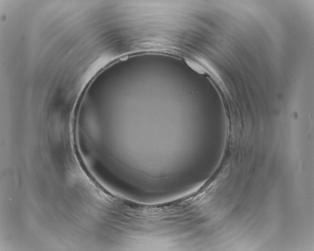 X0000089691291200706211241