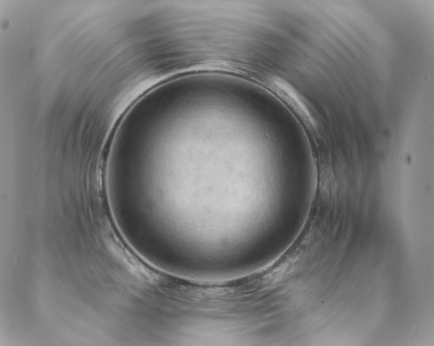 X0000089691292200706211240